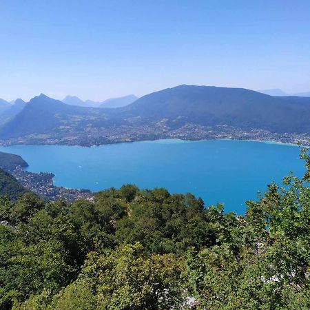 Mon Chalet A Seynod别墅 外观 照片